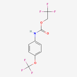 molecular formula C10H7F6NO3 B1518908 2,2,2-trifluoroethyl N-[4-(trifluoromethoxy)phenyl]carbamate CAS No. 1087797-85-0
