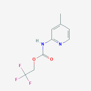 molecular formula C9H9F3N2O2 B1518910 2,2,2-三氟乙基 4-甲基吡啶-2-基氨基甲酸酯 CAS No. 1087798-30-8