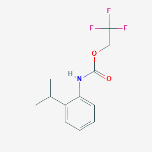 molecular formula C12H14F3NO2 B1518918 2,2,2-trifluoroethyl N-[2-(propan-2-yl)phenyl]carbamate CAS No. 1087797-92-9