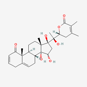 molecular formula C28H38O7 B15192788 Coagulanolide CAS No. 929622-96-8