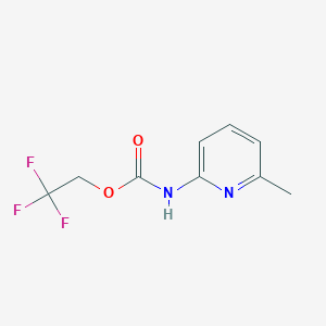 molecular formula C9H9F3N2O2 B1519314 2,2,2-Trifluoroethyl 6-methylpyridin-2-ylcarbamate CAS No. 1087788-71-3