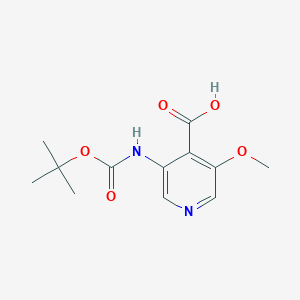 B1519392 3-(tert-Butoxycarbonylamino)-5-methoxyisonicotinic acid CAS No. 709666-22-8
