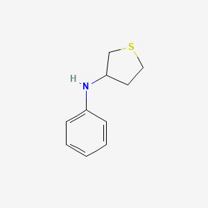 N-phenylthiolan-3-amine