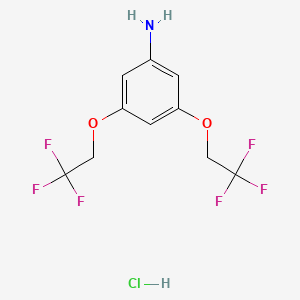 3,5-Bis(2,2,2-trifluoroethoxy)aniline hydrochloride