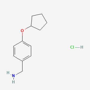 molecular formula C12H18ClNO B1519550 [4-(Cyclopentyloxy)phenyl]methanamine hydrochloride CAS No. 1235440-30-8