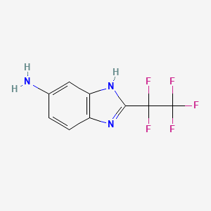 2-(pentafluoroethyl)-1H-1,3-benzodiazol-5-amine