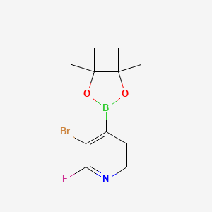 molecular formula C11H14BBrFNO2 B1519787 3-Bromo-2-fluoropyridine-4-boronic acid pinacol ester CAS No. 1150561-78-6