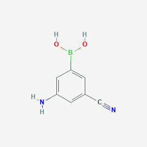 molecular formula C7H7BN2O2 B1519880 (3-Amino-5-cyanophenyl)boronic acid CAS No. 913943-05-2