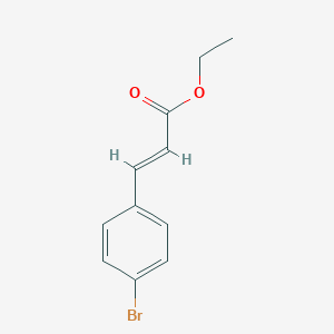 molecular formula C11H11BrO2 B151989 Ethyl trans-4-bromocinnamate CAS No. 24393-53-1