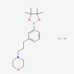 molecular formula C19H31BClNO3 B1519900 4-(3-(3-(4,4,5,5-Tetramethyl-1,3,2-dioxaborolan-2-yl)phenyl)propyl)morpholine hydrochloride CAS No. 1150271-72-9