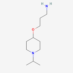 molecular formula C11H24N2O B1519973 3-[(1-Isopropylpiperidin-4-YL)oxy]propan-1-amine CAS No. 1171385-26-4
