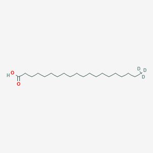 molecular formula C20H40O2 B1520049 Arachidic acid-d3 