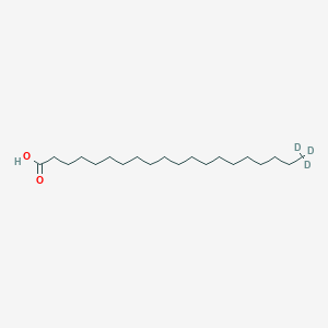 molecular formula C20H40O2 B1520049 Eicosanoic-20,20,20-d3 Acid CAS No. 202480-70-4