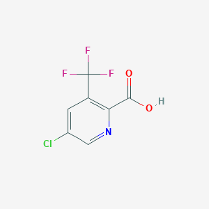 molecular formula C7H3ClF3NO2 B1520124 5-Chloro-3-(trifluoromethyl)pyridine-2-carboxylic acid CAS No. 1198475-43-2