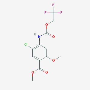 molecular formula C12H11ClF3NO5 B1520268 Methyl 5-chloro-2-methoxy-4-{[(2,2,2-trifluoroethoxy)carbonyl]amino}benzoate CAS No. 1223395-43-4