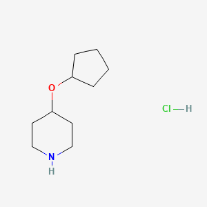 molecular formula C10H20ClNO B1520422 4-(Cyclopentyloxy)piperidine hydrochloride CAS No. 1174044-76-8