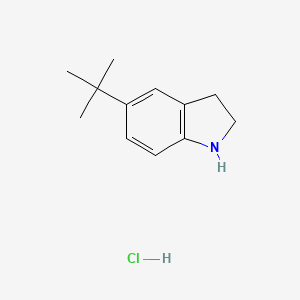 molecular formula C12H18ClN B1520436 5-叔丁基-2,3-二氢-1H-吲哚盐酸盐 CAS No. 1235441-27-6