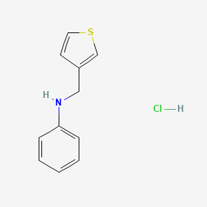 molecular formula C11H12ClNS B1520455 N-(thiophen-3-ylmethyl)aniline hydrochloride CAS No. 1240529-61-6