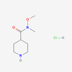 molecular formula C8H17ClN2O2 B1520710 N-methoxy-N-methylpiperidine-4-carboxamide hydrochloride CAS No. 1177302-19-0