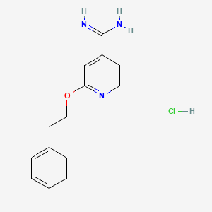 molecular formula C14H16ClN3O B1520725 2-(2-Phenylethoxy)pyridine-4-carboximidamide hydrochloride CAS No. 1240526-97-9