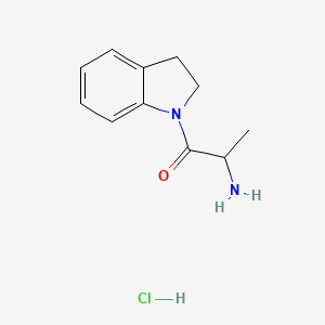 molecular formula C11H15ClN2O B1520812 2-Amino-1-(2,3-dihydro-1H-indol-1-yl)-1-propanone hydrochloride CAS No. 1236262-07-9