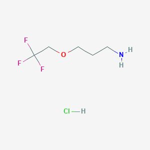 3-(2,2,2-Trifluoroethoxy)propan-1-amine hydrochloride