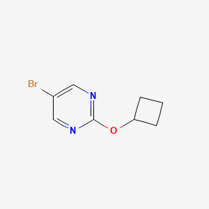5-Bromo-2-cyclobutoxypyrimidine