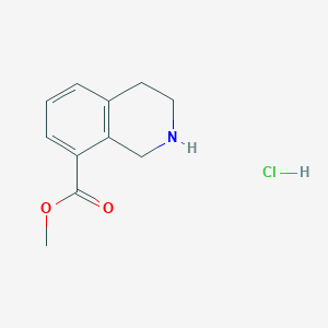 molecular formula C11H14ClNO2 B1521074 盐酸 1,2,3,4-四氢异喹啉-8-羧酸甲酯 CAS No. 1029689-82-4