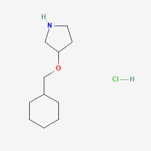 3-(Cyclohexylmethoxy)pyrrolidine hydrochloride