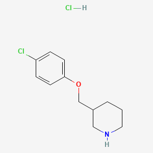 3-[(4-Chlorophenoxy)methyl]piperidine hydrochloride