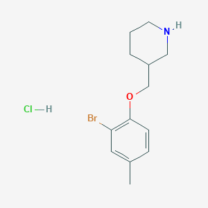 molecular formula C13H19BrClNO B1521103 3-[(2-Bromo-4-methylphenoxy)methyl]piperidine hydrochloride CAS No. 1185303-89-2
