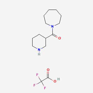 molecular formula C14H23F3N2O3 B1521111 Azepan-1-yl(piperidin-3-yl)methanone 2,2,2-trifluoroacetate CAS No. 1185052-17-8