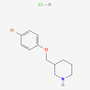 molecular formula C12H17BrClNO B1521115 3-[(4-Bromophenoxy)methyl]piperidine hydrochloride CAS No. 214148-49-9