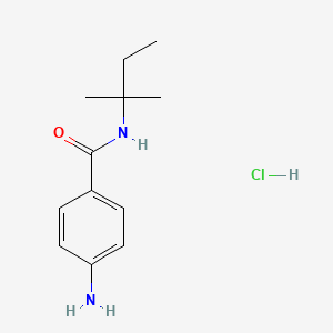 molecular formula C12H19ClN2O B1521202 4-氨基-N-(2-甲基丁烷-2-基)苯甲酰胺盐酸盐 CAS No. 1193388-92-9