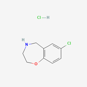 molecular formula C9H11Cl2NO B1521208 7-Chloro-2,3,4,5-tetrahydro-1,4-benzoxazepine hydrochloride CAS No. 1181458-57-0