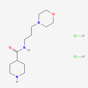 molecular formula C13H26ClN3O2 B1521222 N-[3-(morpholin-4-yl)propyl]piperidine-4-carboxamide dihydrochloride CAS No. 1181457-98-6