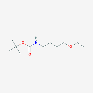 molecular formula C11H23NO3 B1521234 tert-butyl N-(4-ethoxybutyl)carbamate CAS No. 1101136-17-7
