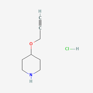 molecular formula C8H14ClNO B1521243 4-(prop-2-yn-1-yloxy)piperidine hydrochloride CAS No. 1185100-09-7