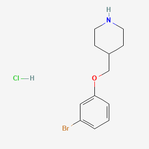 molecular formula C12H17BrClNO B1521426 4-[(3-Bromophenoxy)methyl]piperidine hydrochloride CAS No. 1185301-29-4