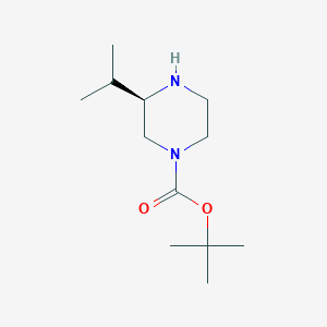 molecular formula C12H24N2O2 B152144 (R)-1-Boc-3-isopropyl-piperazine CAS No. 928025-63-2