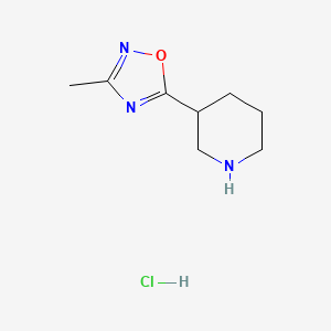 molecular formula C8H14ClN3O B1521537 3-(3-Methyl-1,2,4-oxadiazol-5-yl)piperidine hydrochloride CAS No. 1181540-59-9
