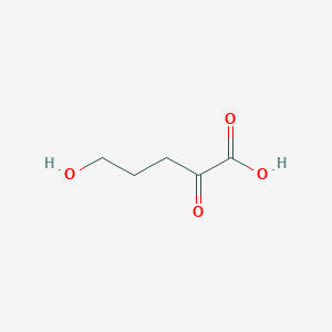 molecular formula C5H8O4 B15216182 5-Hydroxy-2-oxopentanoic acid 