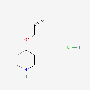 4-(Allyloxy)piperidine hydrochloride