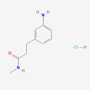 molecular formula C10H15ClN2O B1521917 3-(3-aminophenyl)-N-methylpropanamide hydrochloride CAS No. 1201633-58-0
