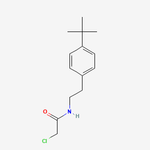 molecular formula C14H20ClNO B1522794 N-[2-(4-tert-butylphenyl)ethyl]-2-chloroacetamide CAS No. 1258641-22-3