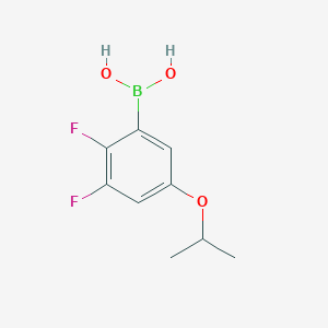 molecular formula C9H11BF2O3 B15229915 (2,3-Difluoro-5-isopropoxyphenyl)boronic acid 