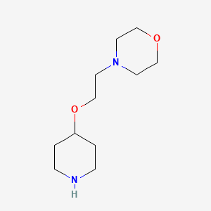 molecular formula C11H22N2O2 B1523148 4-[2-(Piperidin-4-yloxy)ethyl]morpholine CAS No. 1062625-66-4