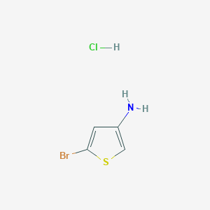 molecular formula C4H5BrClNS B1523346 5-Bromothiophen-3-amine hydrochloride CAS No. 1159823-91-2