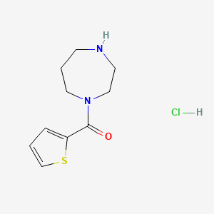 molecular formula C10H15ClN2OS B1523402 1-(噻吩-2-羰基)-1,4-二氮杂环己烷盐酸盐 CAS No. 1311315-12-4
