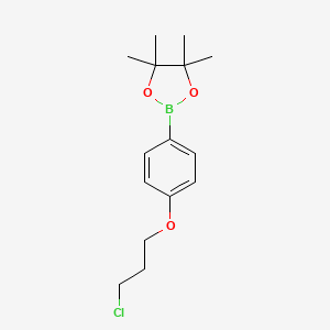 2-[4-(3-Chloropropoxy)phenyl]-4,4,5,5-tetramethyl-1,3,2-dioxaborolane